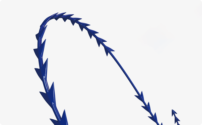 블루로즈 리프팅